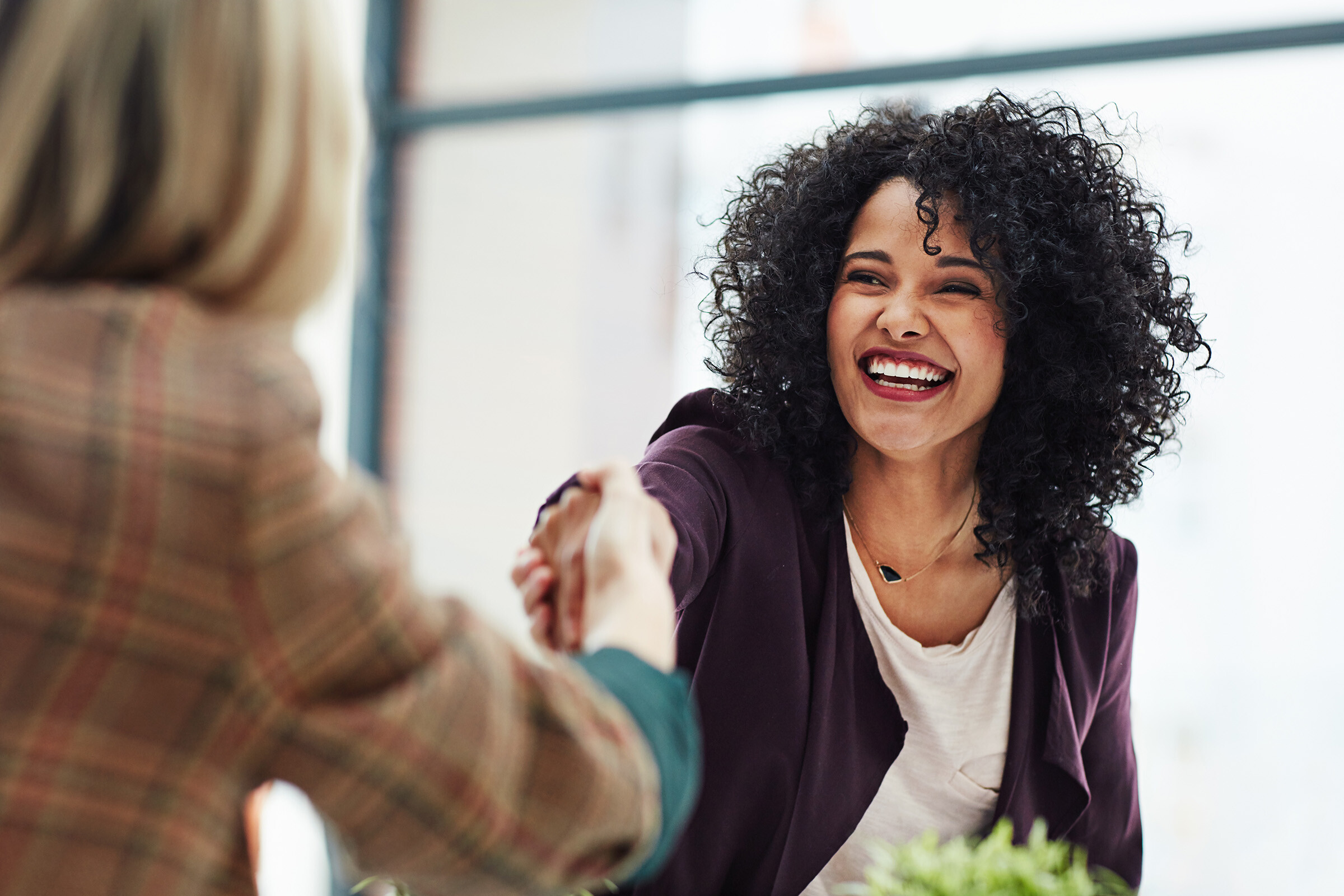 Professional Woman Shaking Hand _ Reduced