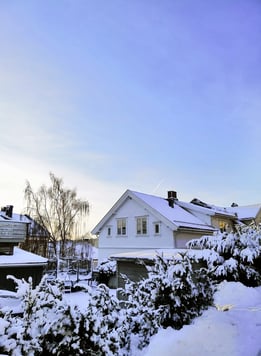 houses-surrounded-by-trees-covered-snow